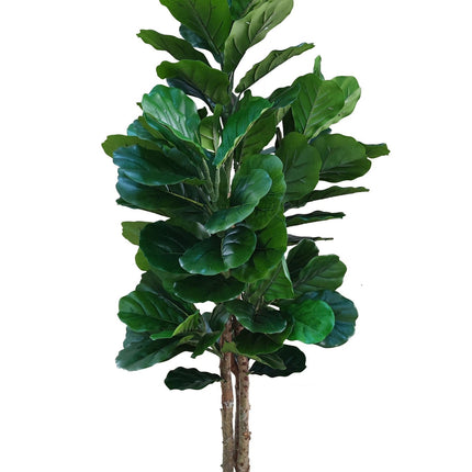 Kunstplant Ficus Lyrata - ↕160cm