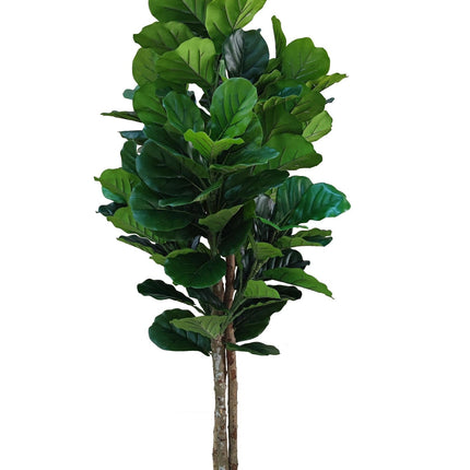 Kunstplant Ficus Lyrata - Vioolbladplant - ↕185 cm