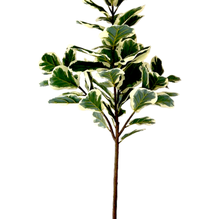 Kunstplant Ficus Lyrata - ↕160cm