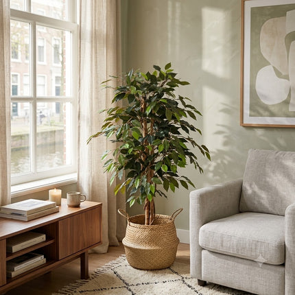 Kunstplant Ficus Benjamina - ↕130cm