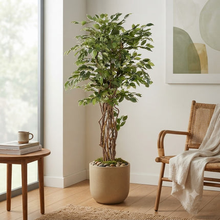 Kunstplant Ficus Liana - Vioolbladplant - ↕170cm