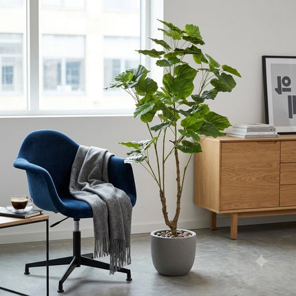 Kunstplant Ficus Umbellate - Afrikaanse vijg - ↕125cm