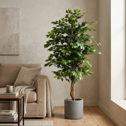 Kunstplant Ficus boom - ↕180cm