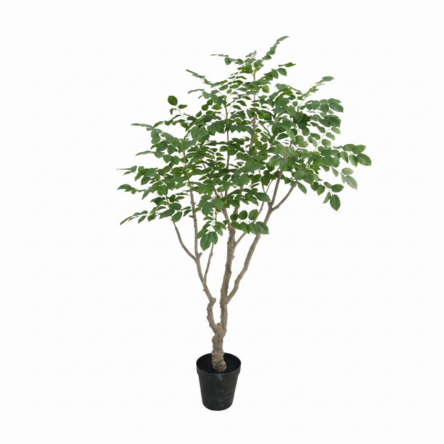 Kunstplant Sandelhout - ↕240cm