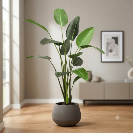 Kunstplant Strelitzia Nicolai - Paradijsvogelbloem - ↕230cm - Ø17cm
