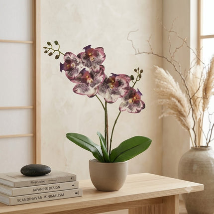 Kunstplant Orchidee Phalaenopsis Paars - ↕41cm