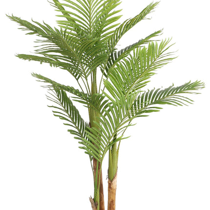 Kunstplant Kentia Palm - ↕170cm
