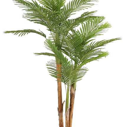 Kunstplant Kentia Palm - ↕190cm