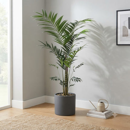 Kunstplant Kentia Palm - ↕210cm - Ø17cm