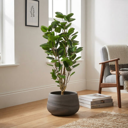 Kunstplant Polyscias - Aralia - ↕105cm - Ø12cm