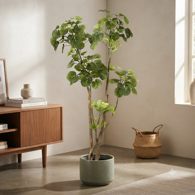 Kunstplant Polyscias - Aralia - ↕140cm - Ø14cm