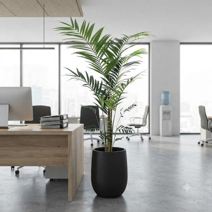 Kunstplant Kentia Palm - ↕210cm - Ø17cm