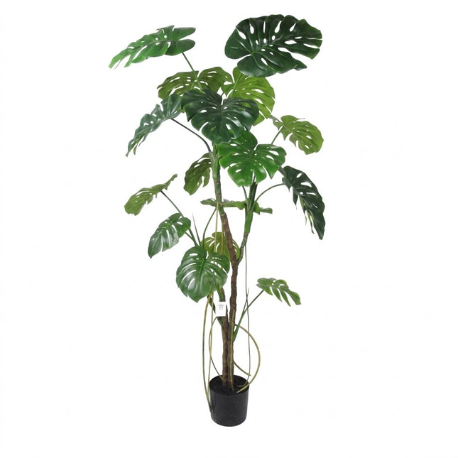 Kunstplant Monstera - ↕180cm