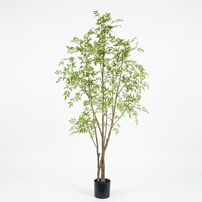 Kunstplant Nandina - ↕210cm