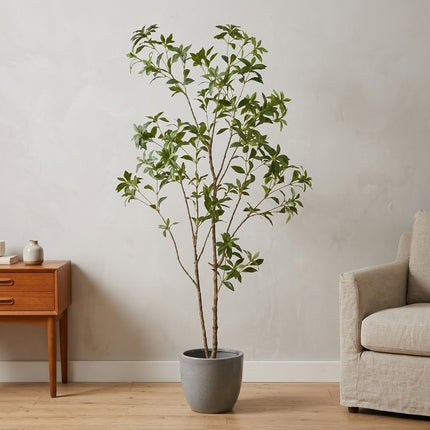 Kunstplant Pieris Japonica - ↕180cm
