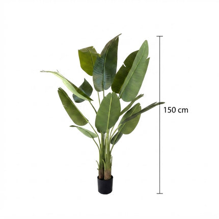 Kunstplant Strelitzia - ↕150cm