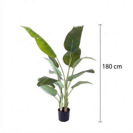 Kunstplant Strelitzia - ↕180cm