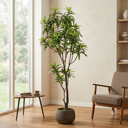 Kunstplant Dracaena - Drakenboom - ↕190cm - Ø17cm