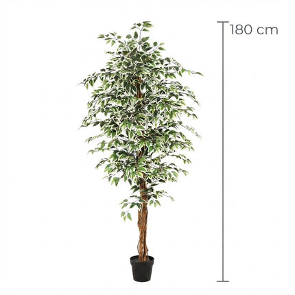 Kunstplant Ficus - ↕180cm