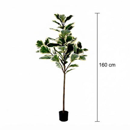Kunstplant Ficus Lyrata - ↕160cm