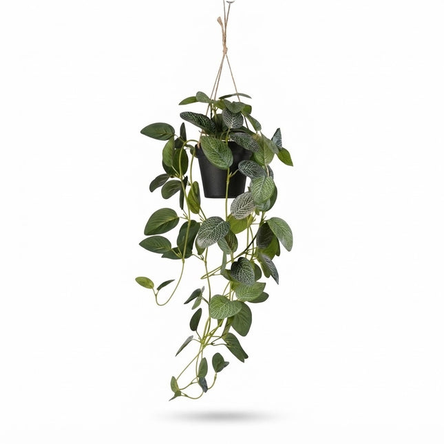 Kunstplant Fittonia - hangplant in pot - ↕70cm