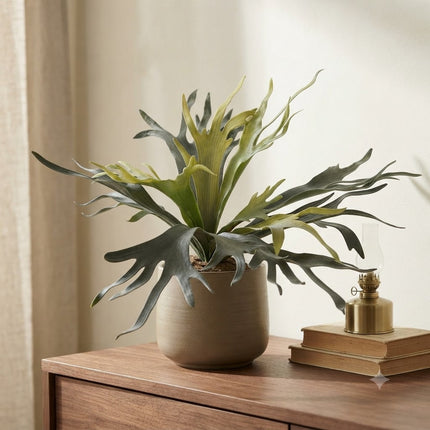 Kunstplant Staghorn Fern - Hertshoorn - ↕50cm - Ø15cm