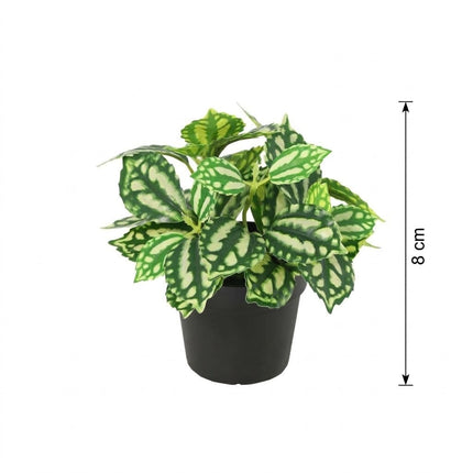 Kunstplant Pilea - Ice Water - ↕8cm - Ø9cm
