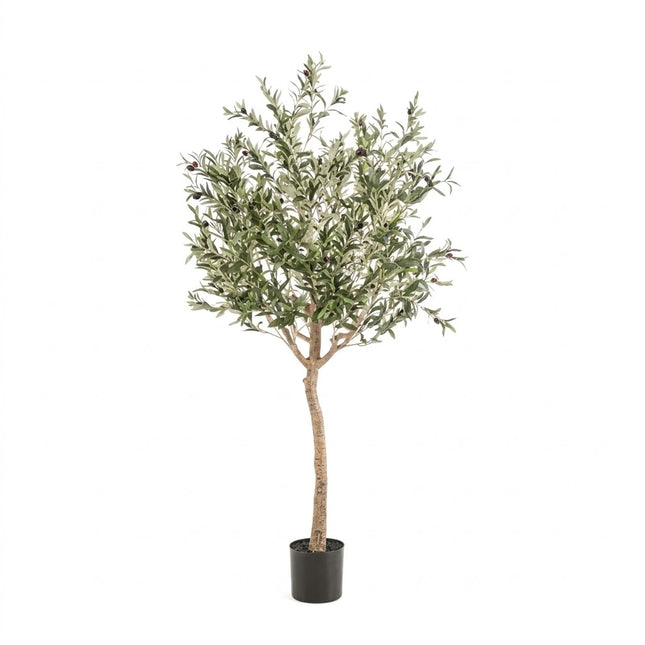 Kunst Olijfboom - Olea Europaea - ↕180cm - Ø15cm