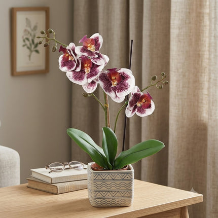 Kunstplant Orchidee Phalaenopsis Violet Wit - ↕41cm