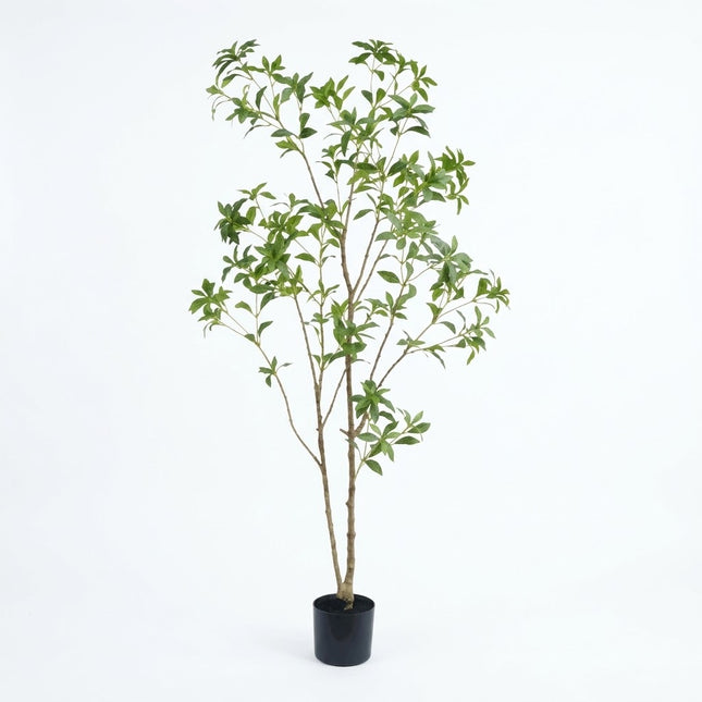 Kunstplant Pieris Japonica - ↕180cm