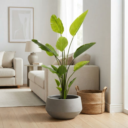 Kunstplant Strelitzia Nicolai - Paradijsvogelplant - ↕150cm - Ø14cm