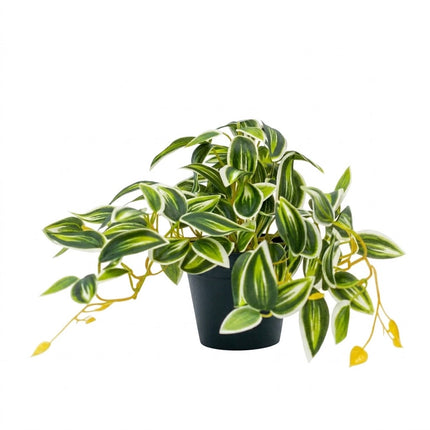 Kunstplant Tradescantia Groen/Wit - ↕17cm - Ø19cm