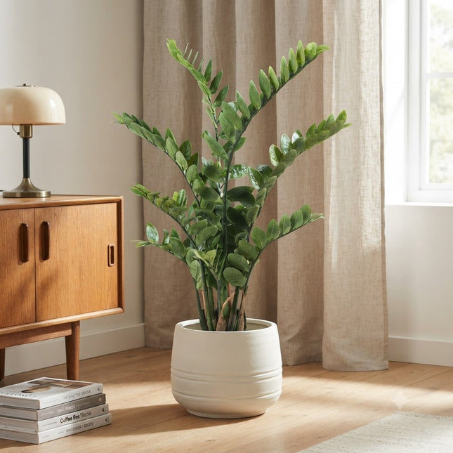 Kunstplant Zamioculcas - ZZ plant - ↕110cm - Ø14cm
