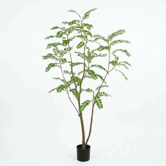 Kunstboom Mimosa -  ↕210cm