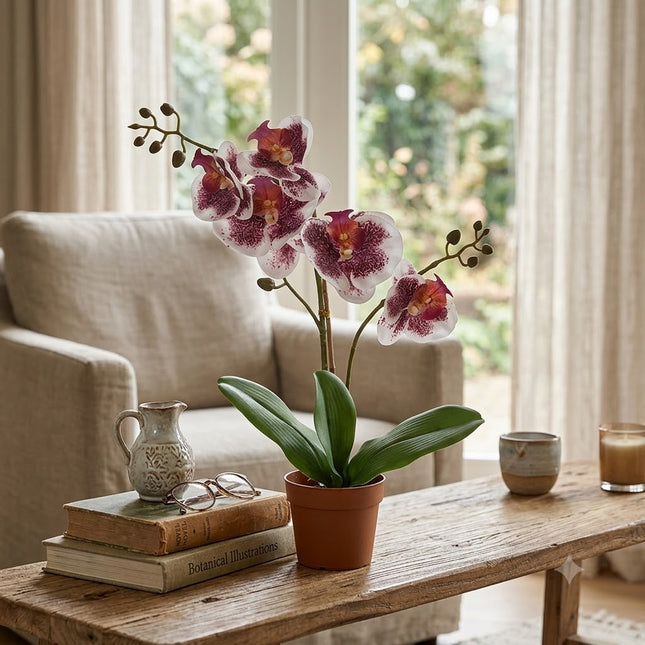 Kunstplant Orchidee Phalaenopsis Violet Wit - ↕41cm