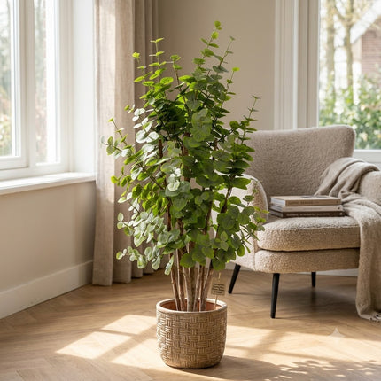 Kunstplant Eucalyptus Boom Groen - ↕120cm