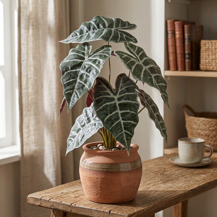 Kunstplant Alocasia Bush - ↕40cm - Ø10cm