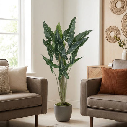 Kunstplant Alocasia Taro - ↕140cm