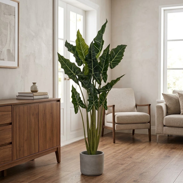 Kunstplant Alocasia Taro - ↕160cm