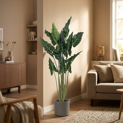 Kunstplant Alocasia Taro - ↕160cm