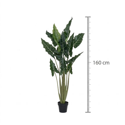 Kunstplant Alocasia Taro - ↕160cm