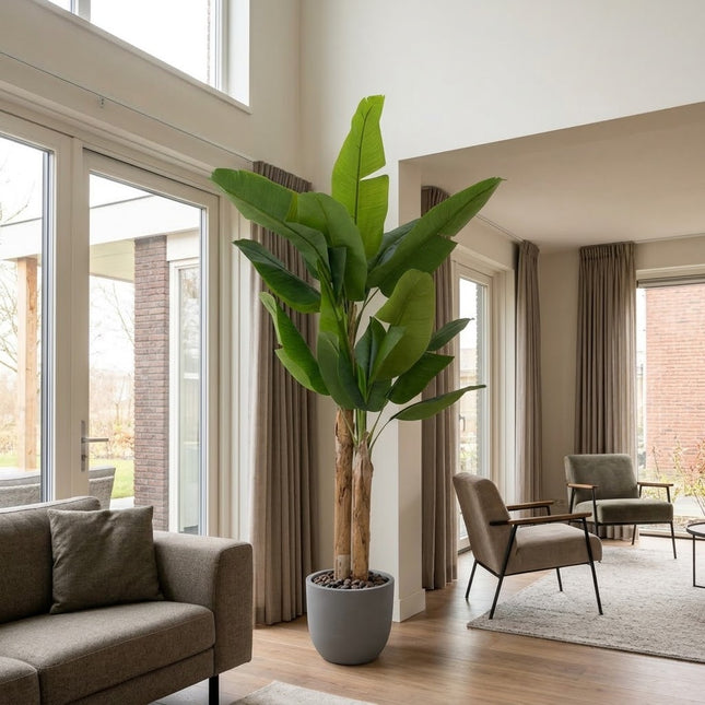 Kunstplant Bananenplant - ↕220cm