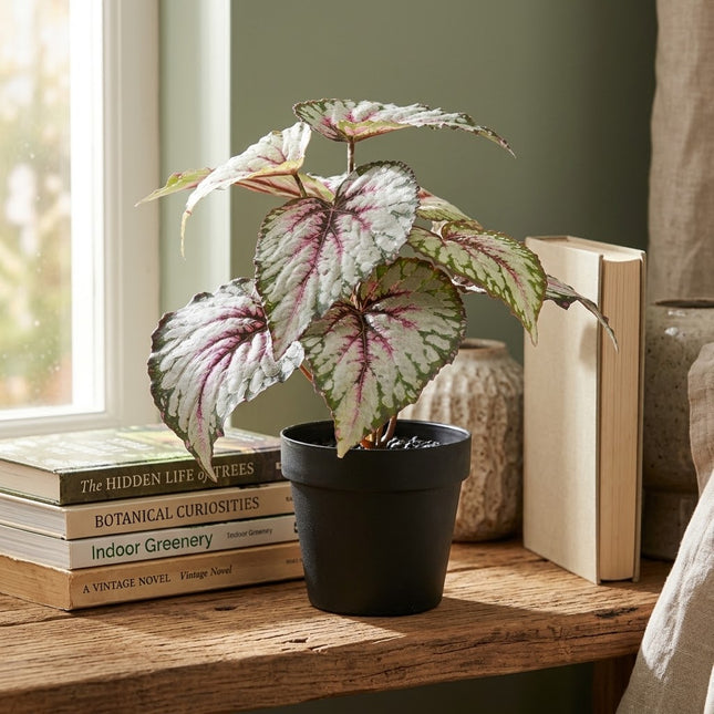 Kunstplant Begonia - ↕26cm - Ø10cm