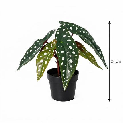 Kunstplant Begonia Maculata - ↕24cm - Ø9cm