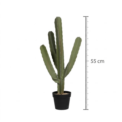 Kunstplant Cactus Cereus - ↕55cm
