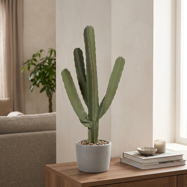 Kunstplant Cactus Cereus - ↕55cm