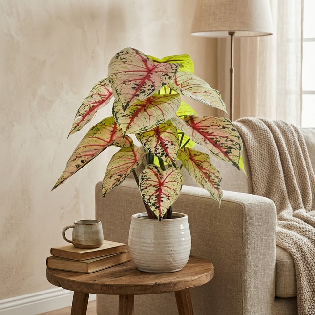 Kunstplant Caladium Wit Roze - ↕57cm
