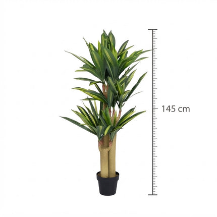 Kunstplant Dracaena - ↕145cm