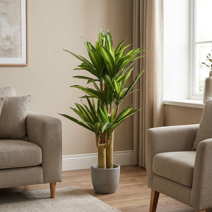 Kunstplant Dracaena - ↕145cm