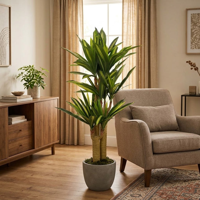 Kunstplant Dracaena - ↕145cm